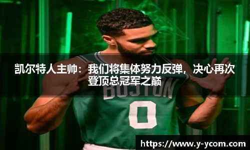 智博19有限公司