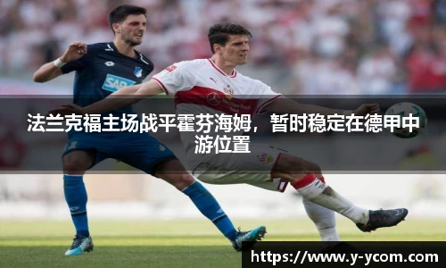 智博19有限公司