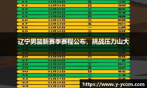智博19