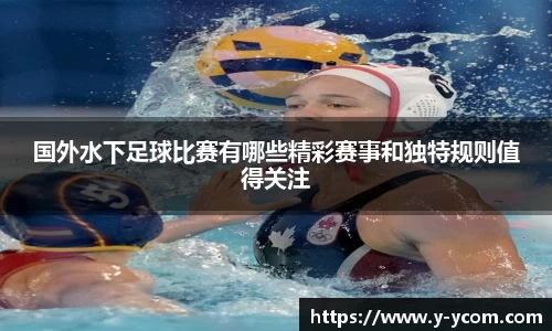 智博19