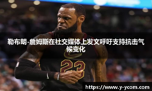 智博19有限公司