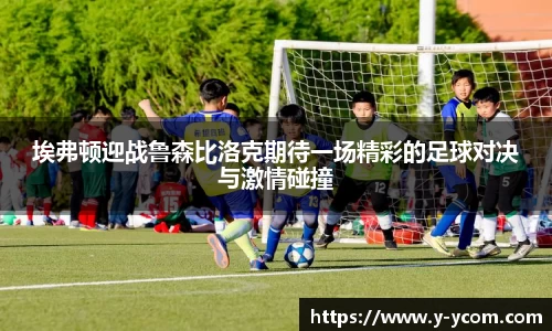 智博19