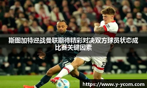 智博19有限公司