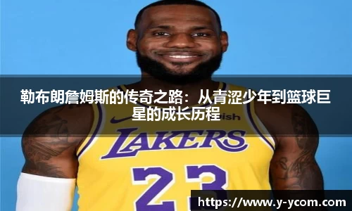 智博19有限公司