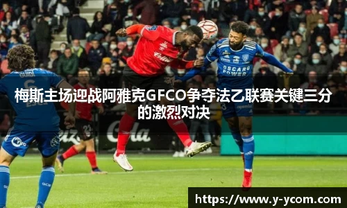 智博19