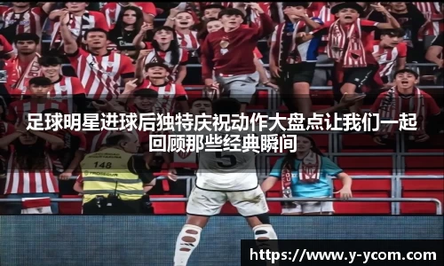 智博19