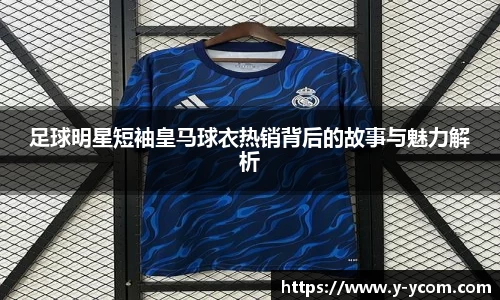 智博19有限公司