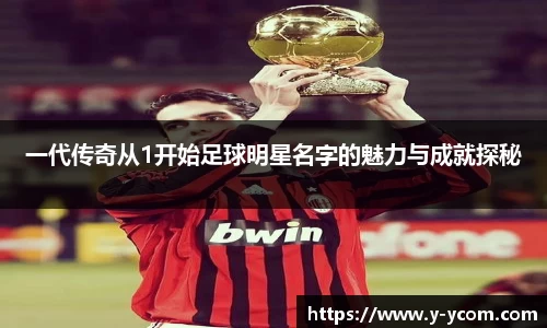 智博19有限公司