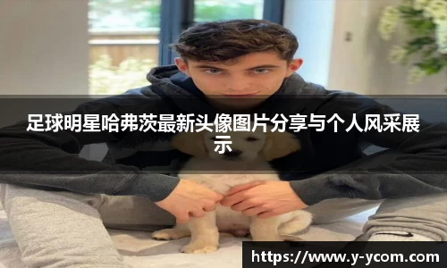 智博19有限公司