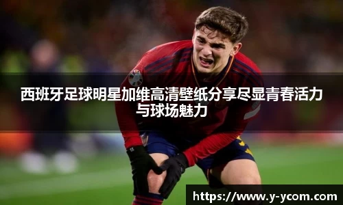 西班牙足球明星加维高清壁纸分享尽显青春活力与球场魅力