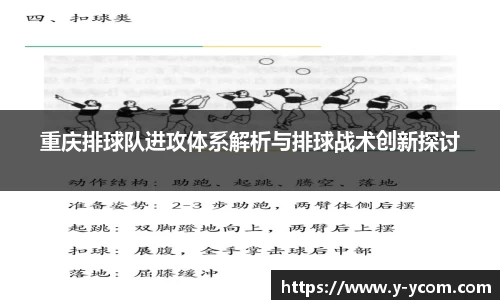 重庆排球队进攻体系解析与排球战术创新探讨