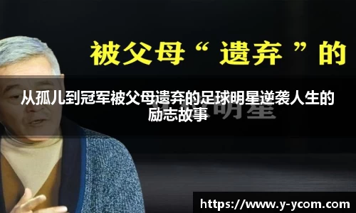 智博19有限公司