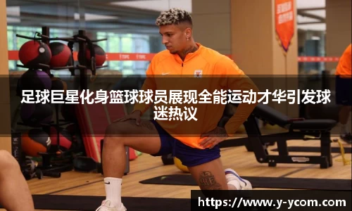 智博19有限公司